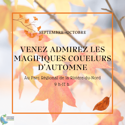 Les couleurs d’automne